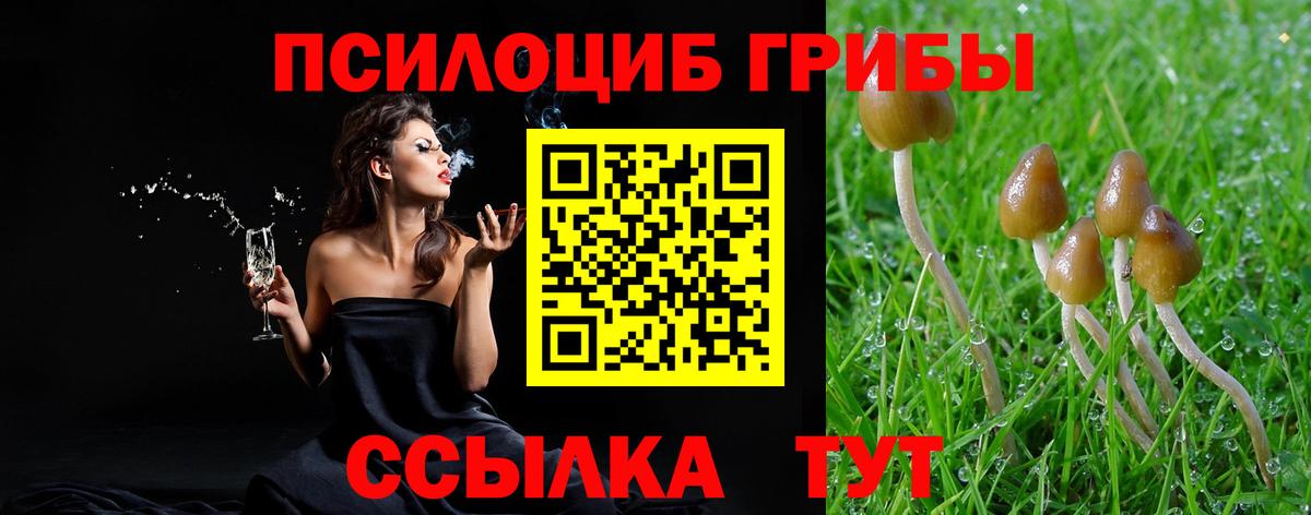 Псилоцибиновые грибы GOLDEN TEACHER  Вход с VPN  Апшеронск 