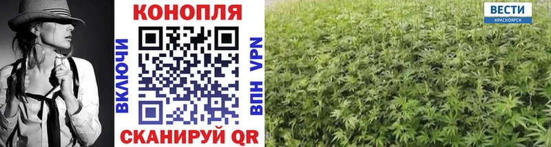 Бошки Шишки SATIVA & INDICA  где можно купить наркотик  Апшеронск 